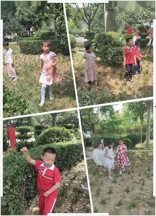 密密花园在线观看,在线观看,揭秘神秘花园的奇幻之旅 第3张 密密花园在线观看,在线观看,揭秘神秘花园的奇幻之旅 第3张