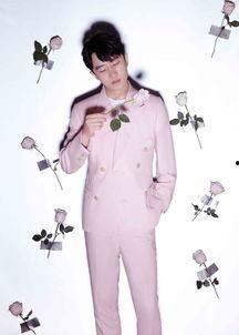 情人节衣服爆料视频大全,揭秘热门衣服爆料视频大全